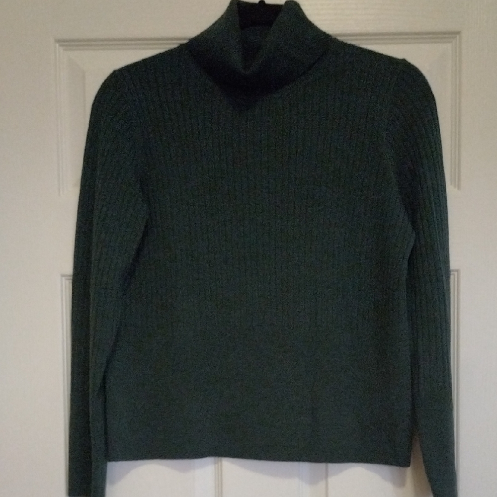 Extra Fine Merino Wool Deep Green Sweater